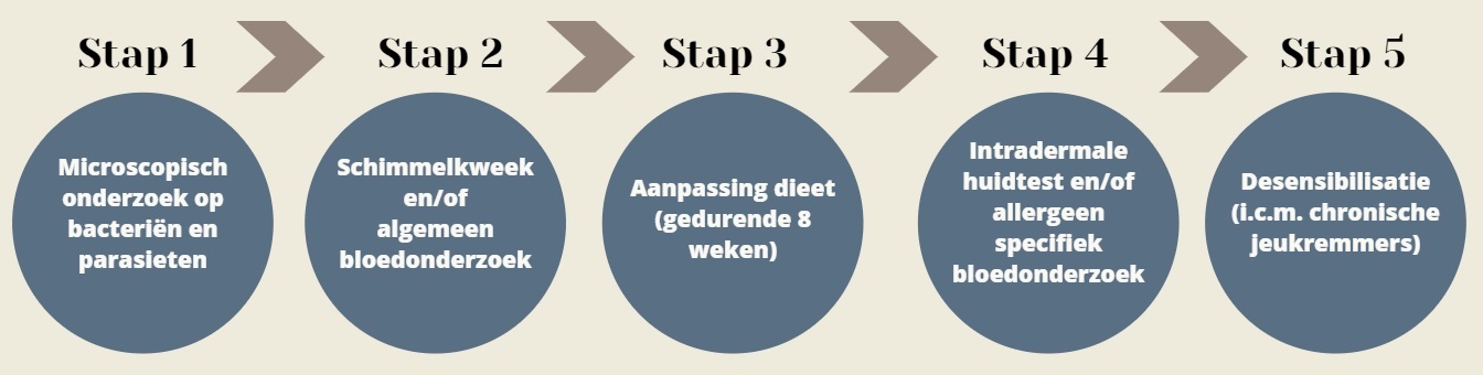 Stappenplan atopie hond