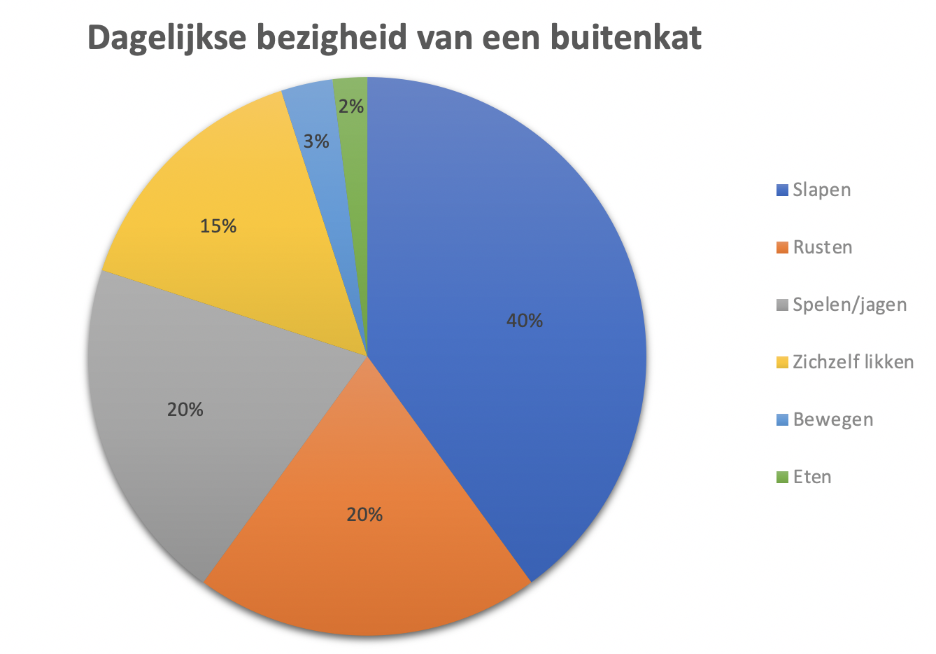 Kat plast in huis - Bezigheden kat