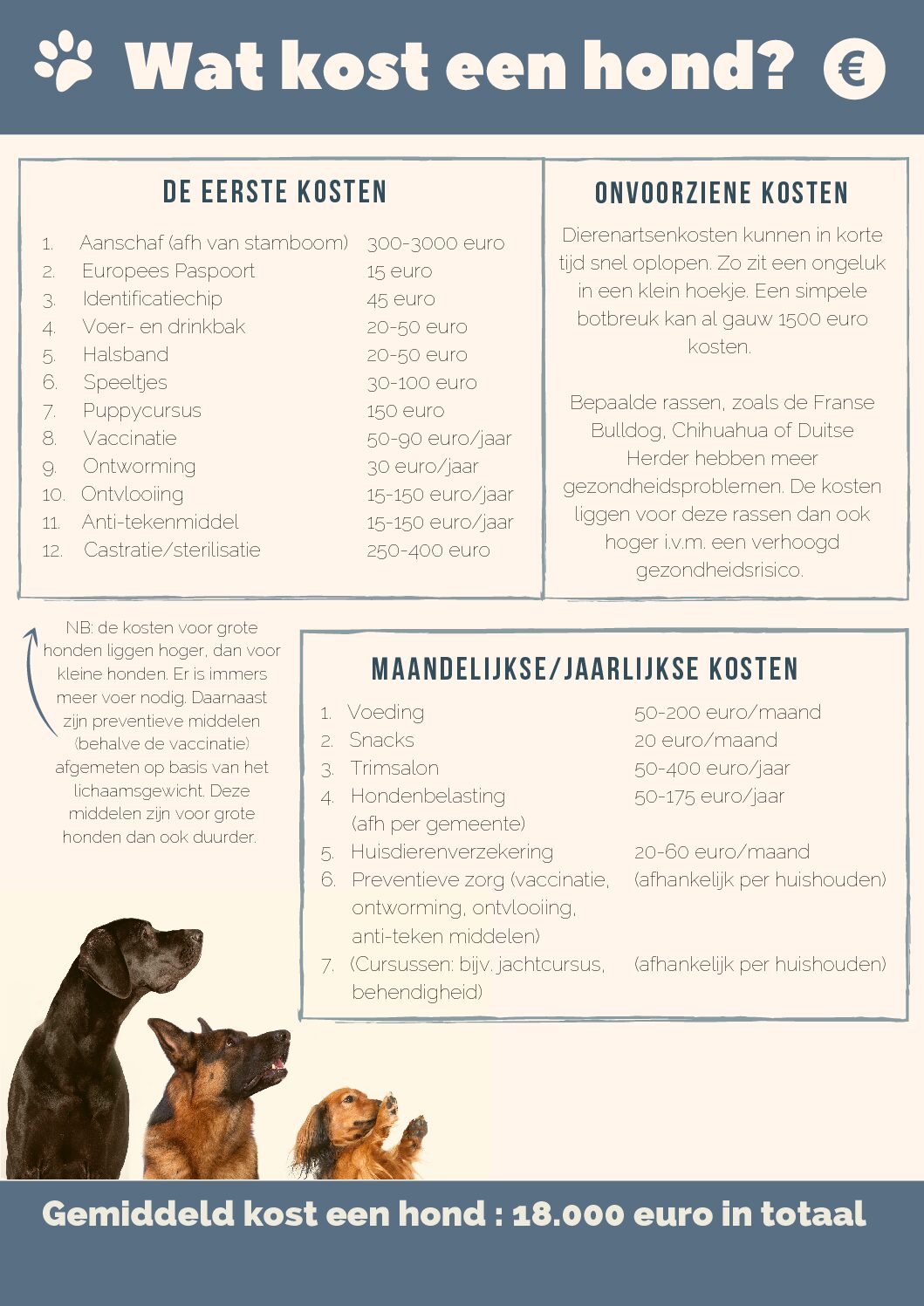 Ik een Gouden tips & tricks voor het kopen van een hond - Huisdieren Academy
