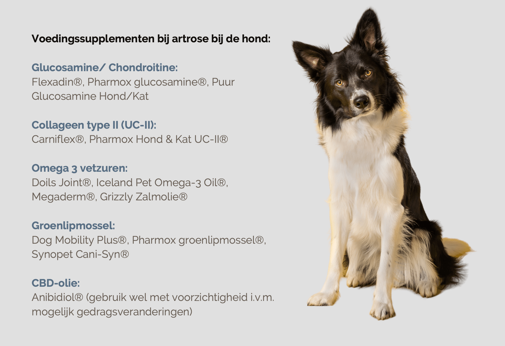 Hond artrose voedingssupplement