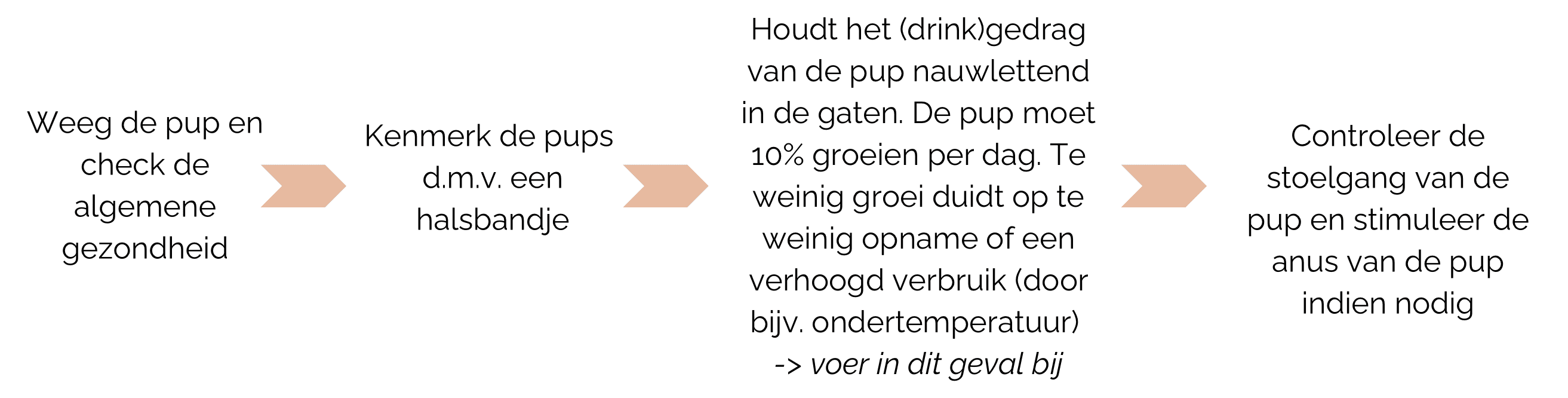 zorg voor pup na de bevalling